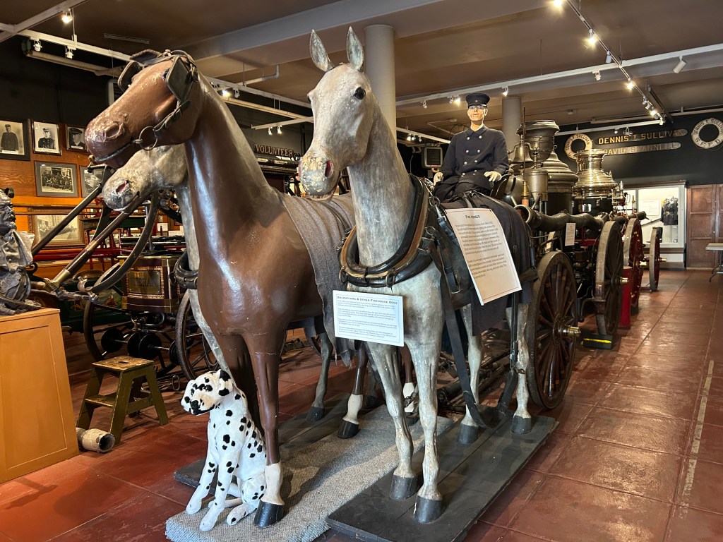 A photograph taken inside the S F F D museum, showing a horse-drawn fire pump wagon.